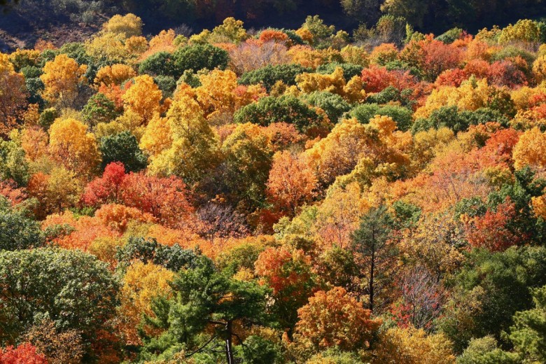 Hiking Trails in CT to See Fall Foliage