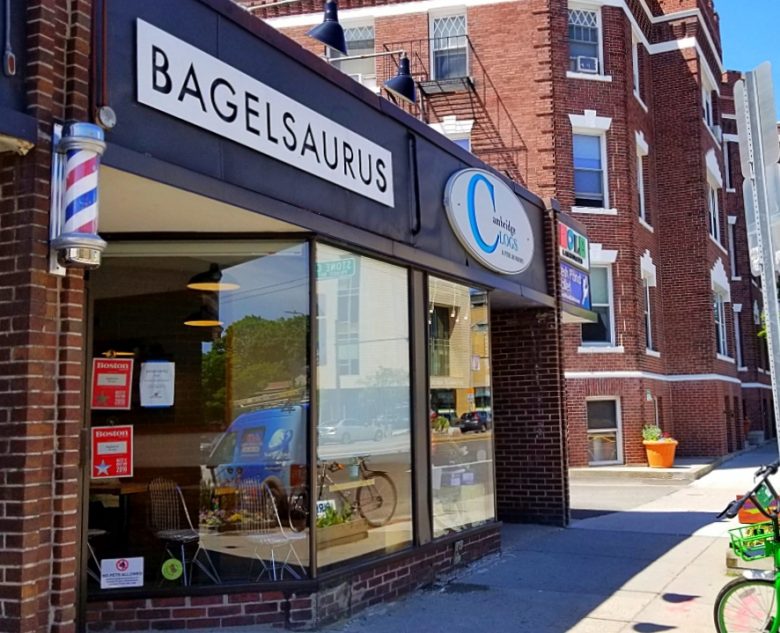Bagelsaurus The Best Bagels in Boston? New England Today