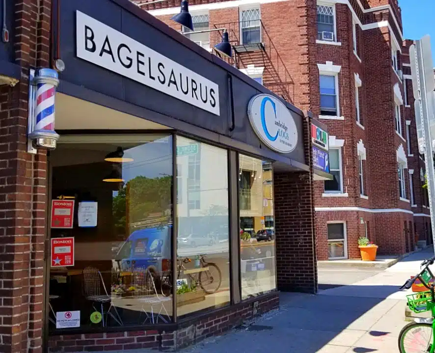 Bagelsaurus | The Best Bagels in Boston?