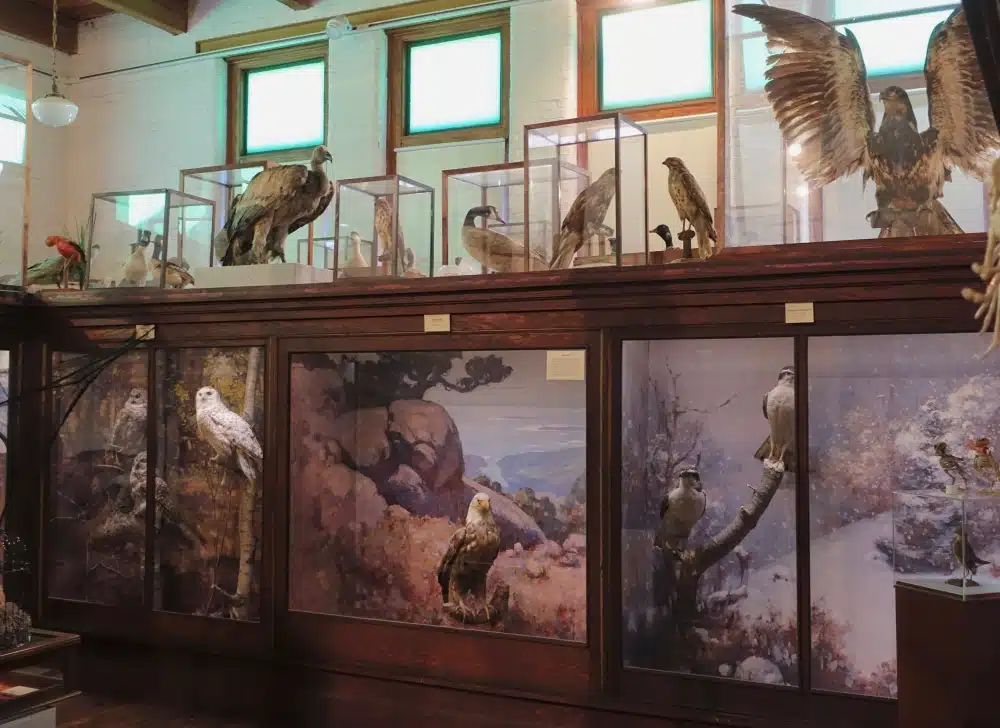 L.C. Bates Museum