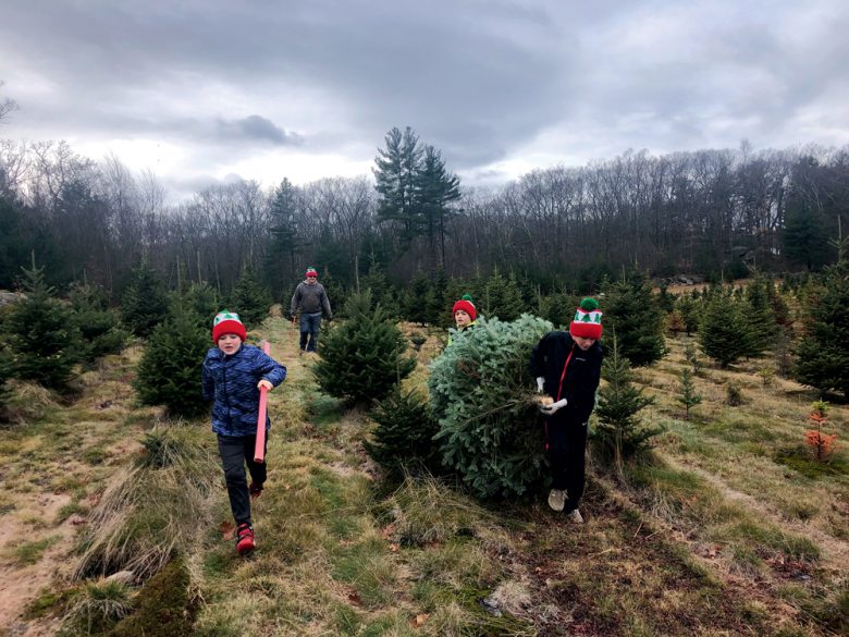 The Best 5 Christmas Tree Farms in New England
