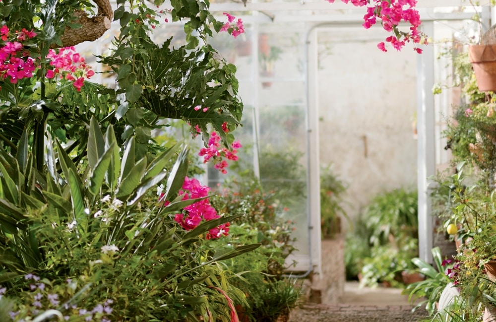 Best 5 New England Indoor Garden Escapes | Yankee Magazine