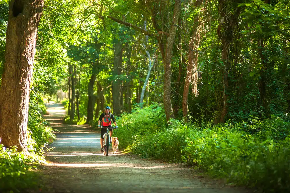 The 778-acre Bluff Point State Park offers a quiet escape for cyclists and sight-seers in autumn.