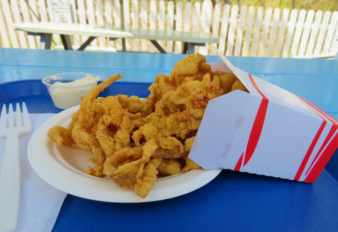 Best Fried Clam Strips in New England