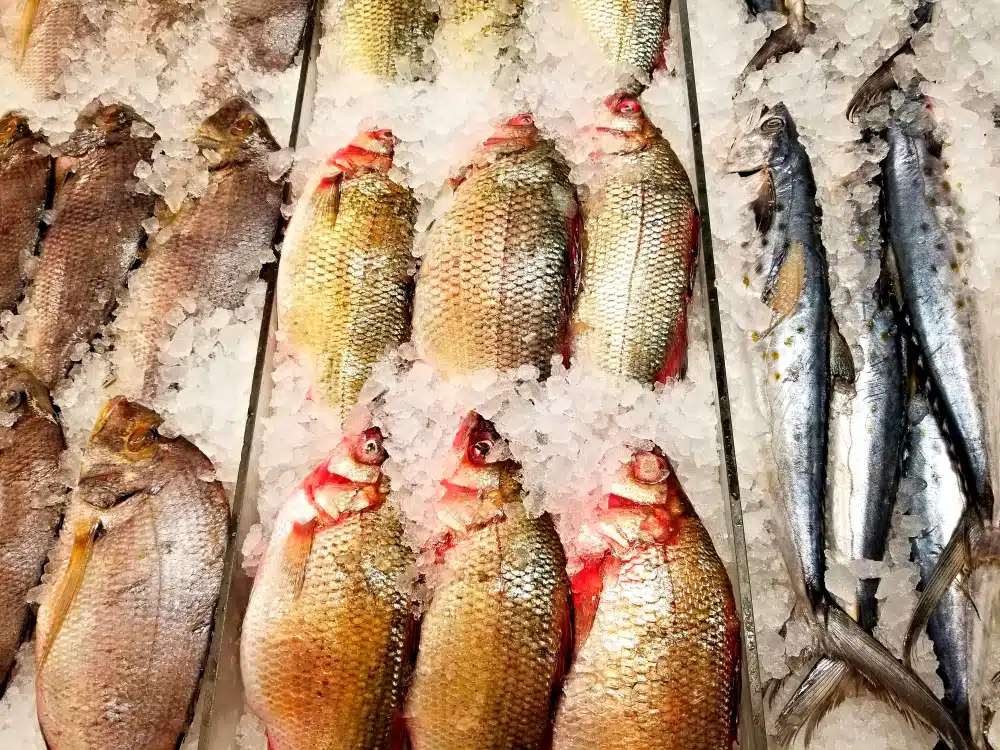 Chinatown Boston Food Tour | An Insider's Guide