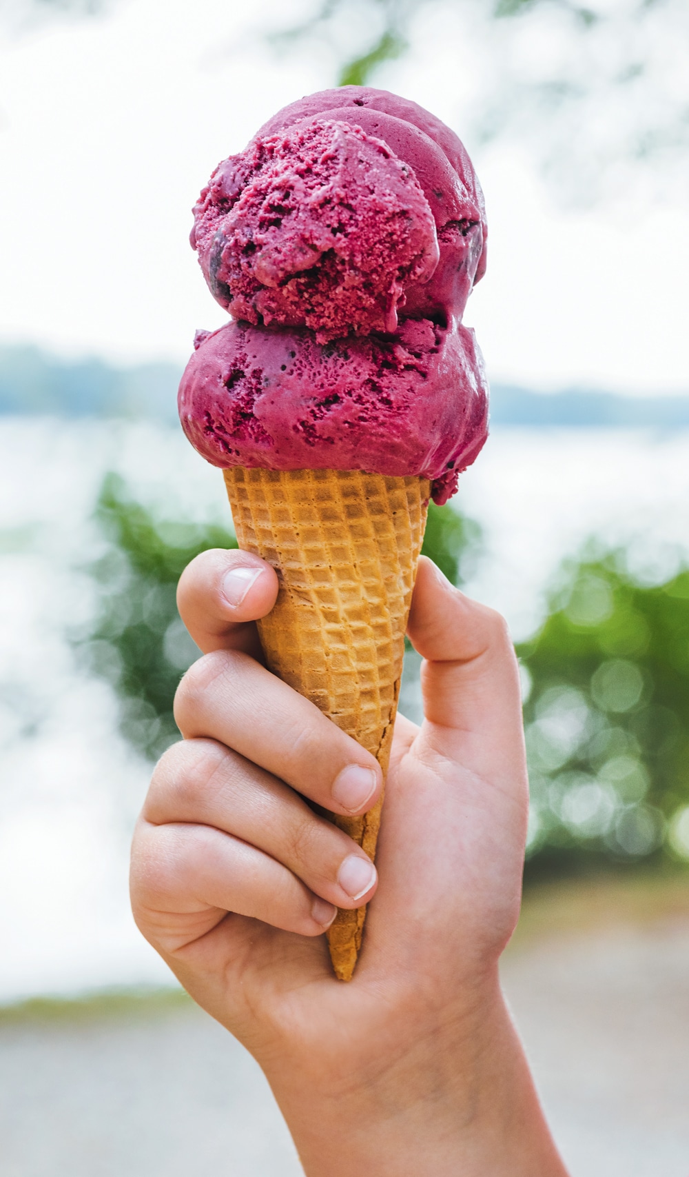 Bresca_Blackberry-Ice-cream