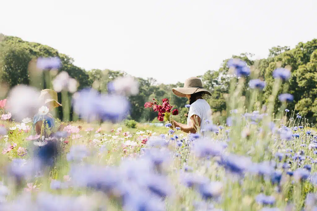 Perfect Days on Martha’s Vineyard | Featured Photographer Elizabeth Cecil