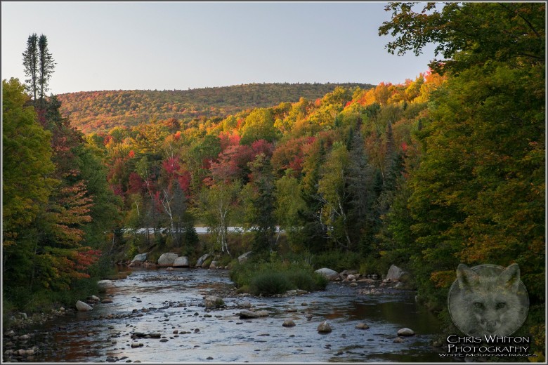 Far Northern New Hampshire Had Great Color Last Weekend, And Peak Color Can Be Found This Weekend Here!
