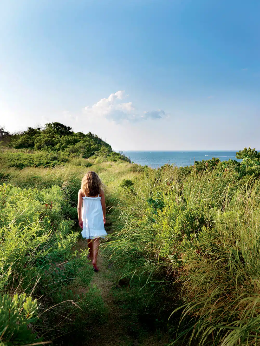 Clay Head Trail