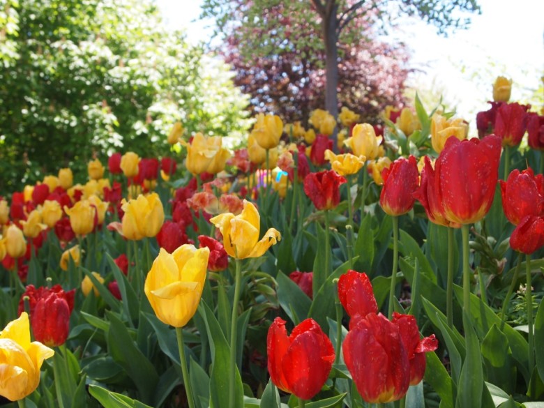 A Visit To The Coastal Maine Botanical Gardens New England Today