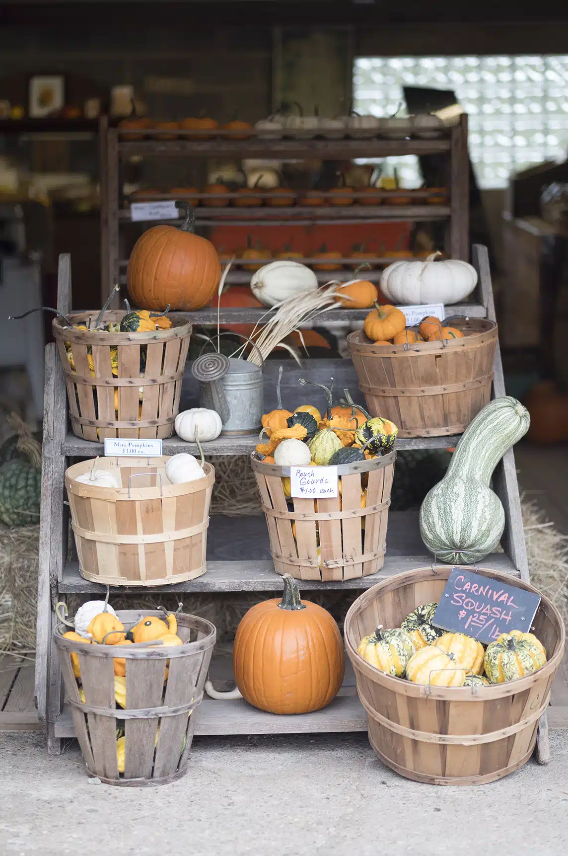 Scenes from Coppal House Farm in Lee, New Hampshire
