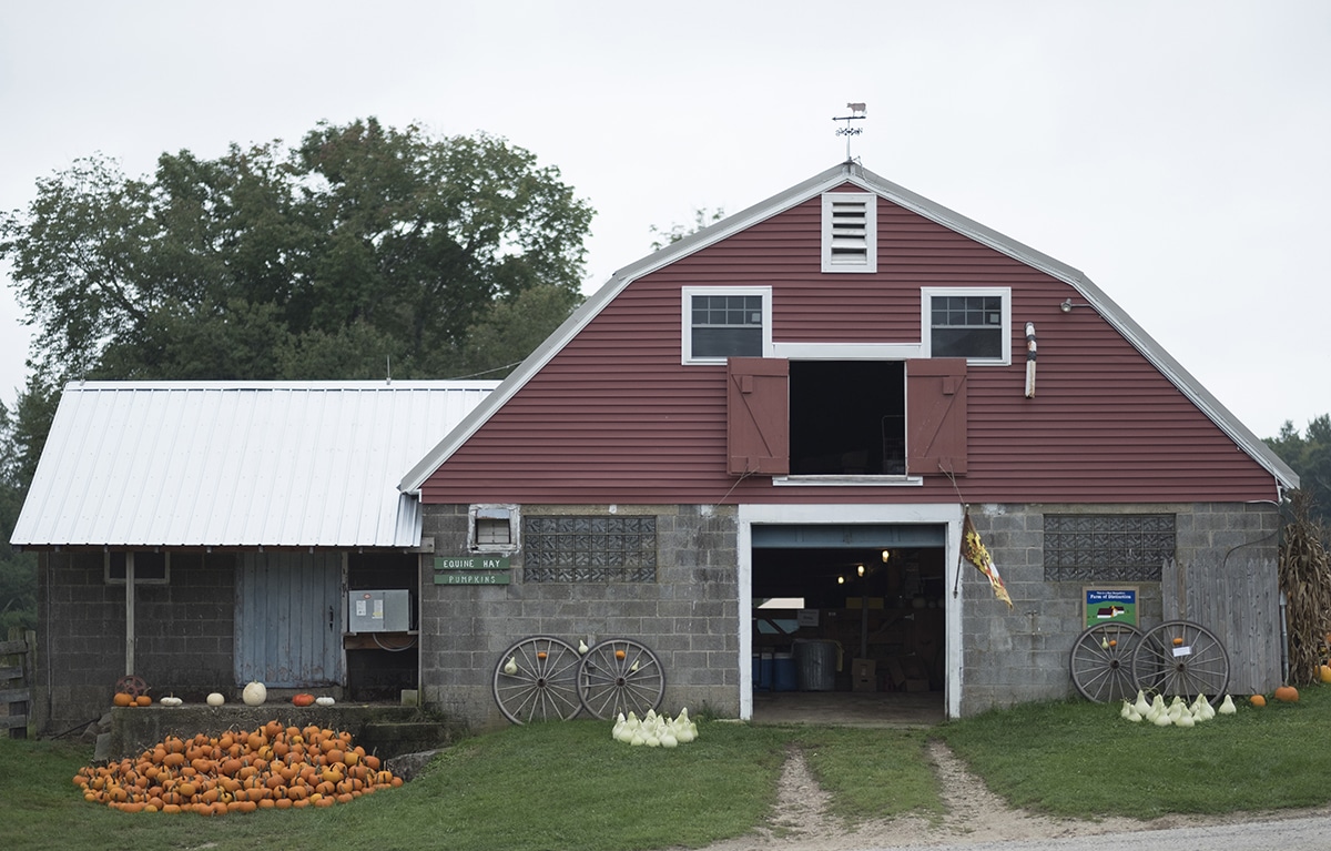 Scenes from Coppal House Farm in Lee, New Hampshire