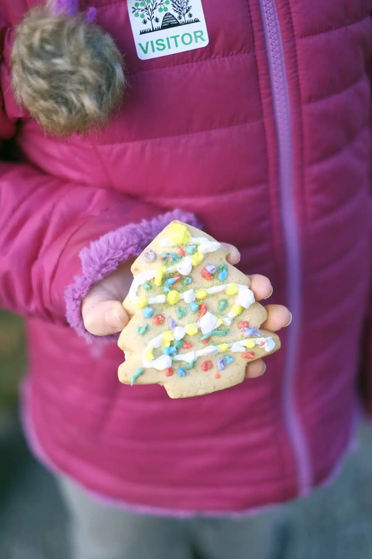 Lucy's decorated Christmas tree cookie.