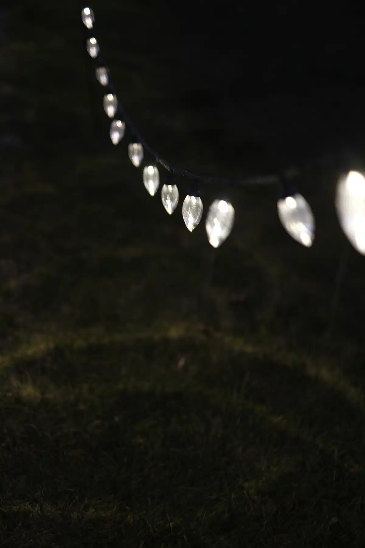 A strand of lights.