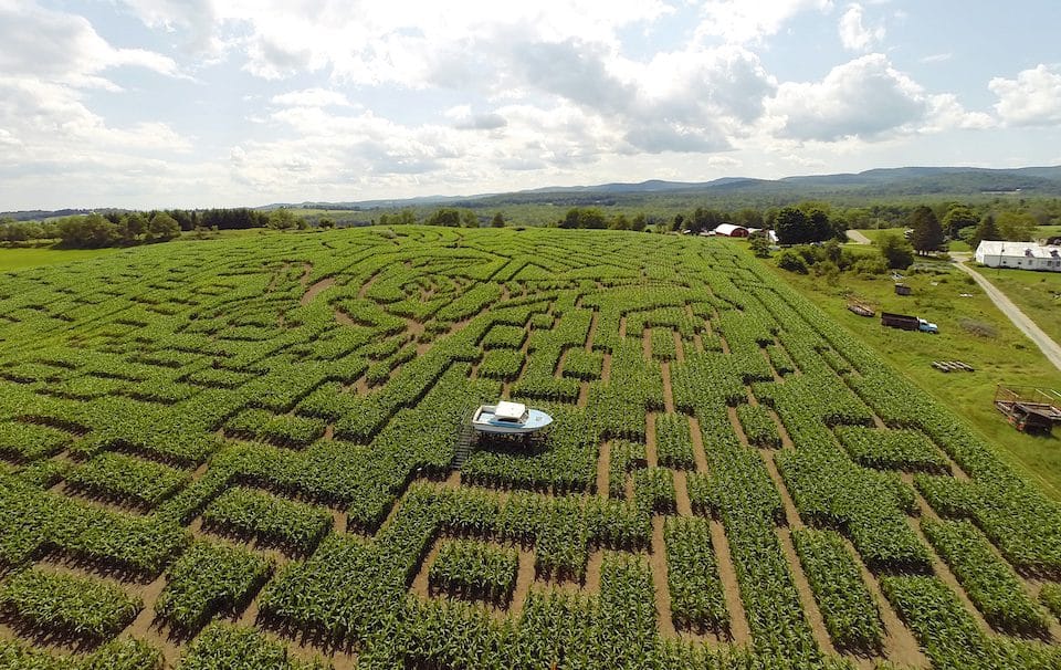 Hardest Corn Maze atelieryuwa.ciao.jp