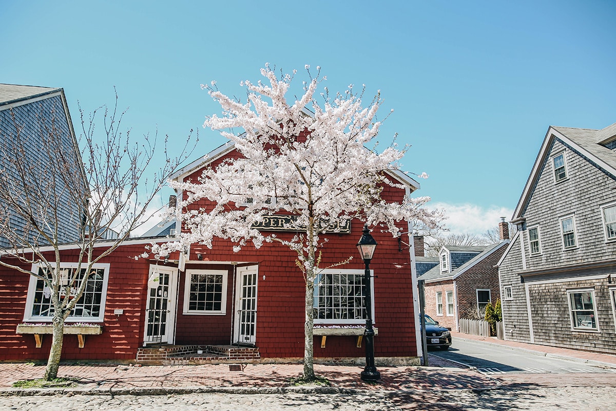 Scenes From Nantucket | Featured Photographer Georgie Morley