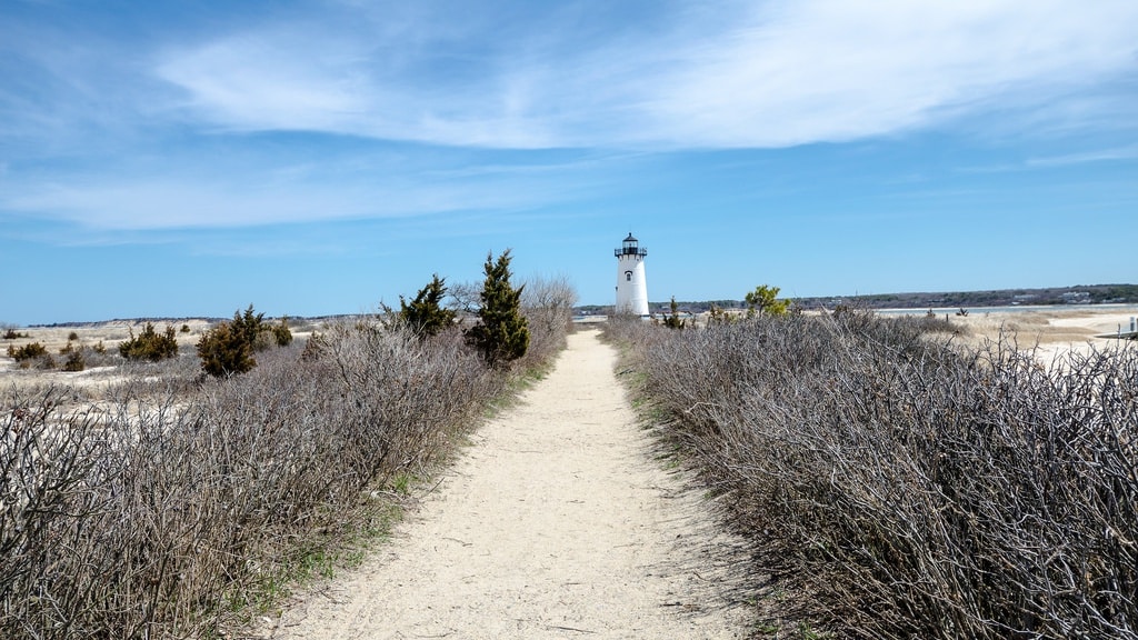 Things to do in Oak Bluffs, MA