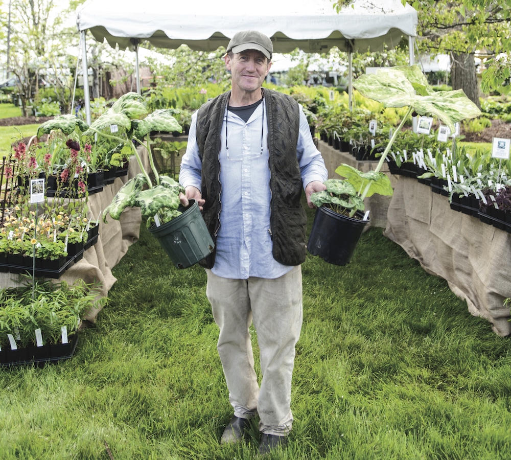 Best New England Nurseries & Garden Centers New England Today