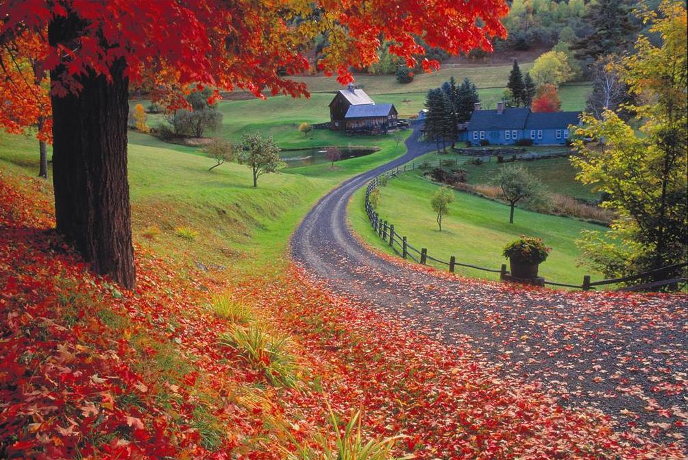 Vermont Fall Foliage 2024 Davine Etheline