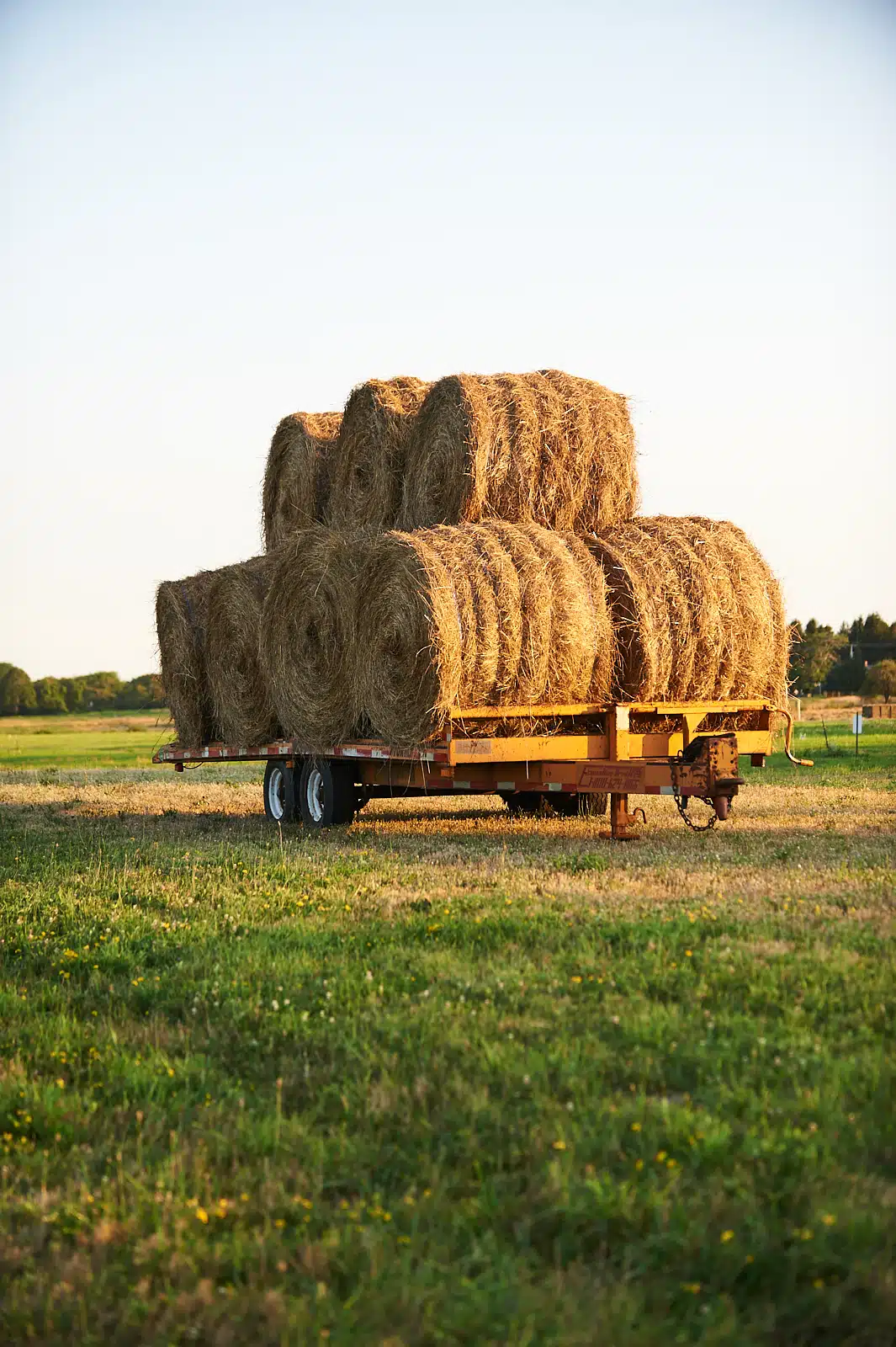 Scenes from the New England Farm Coast in Summer