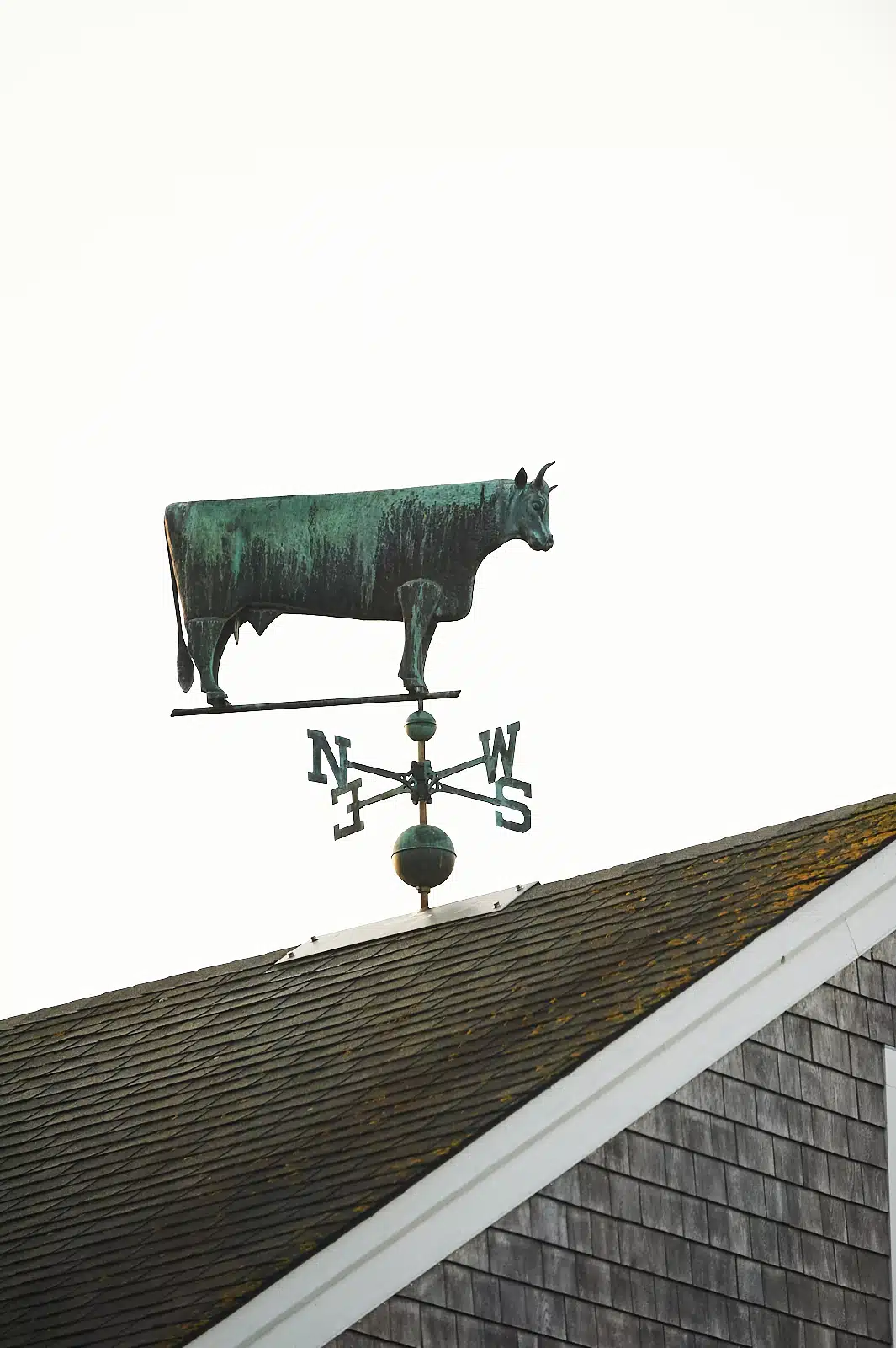 Scenes from the New England Farm Coast in Summer