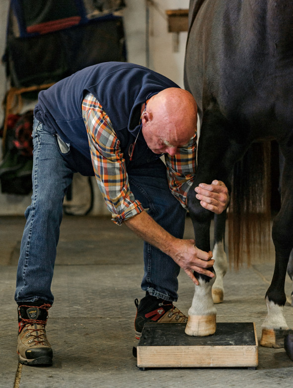 With the decline of family farming, Stuwe often finds himself caring for horses, not cows. Here he gently places the hoof of a gelding named Ace onto a platform to be x-rayed.