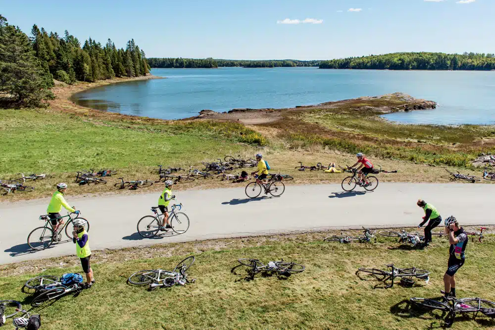 Cyclists coming and going from lunch on the water at Tide Mill Organic Farm in Edmunds