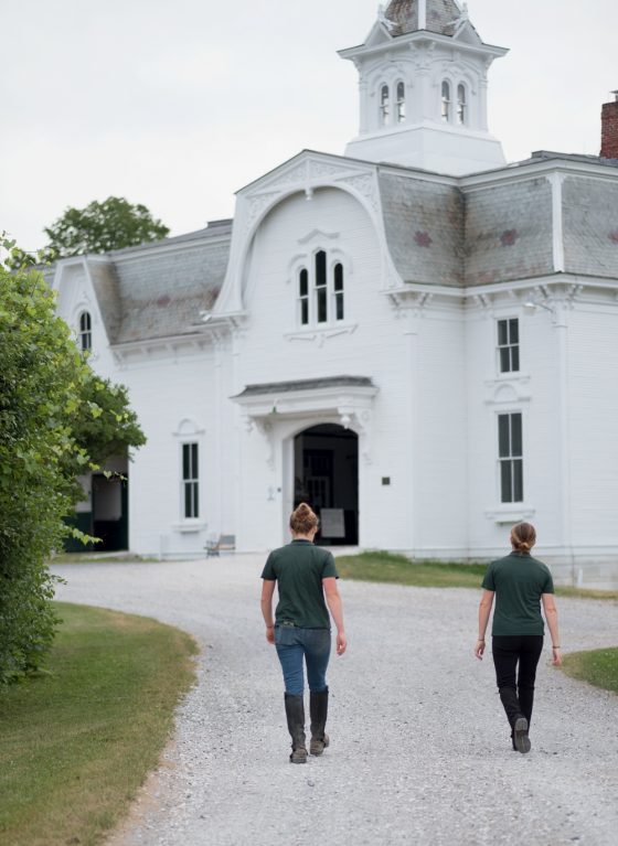 The University of Vermont’s Horse Farm The Horse That Changed