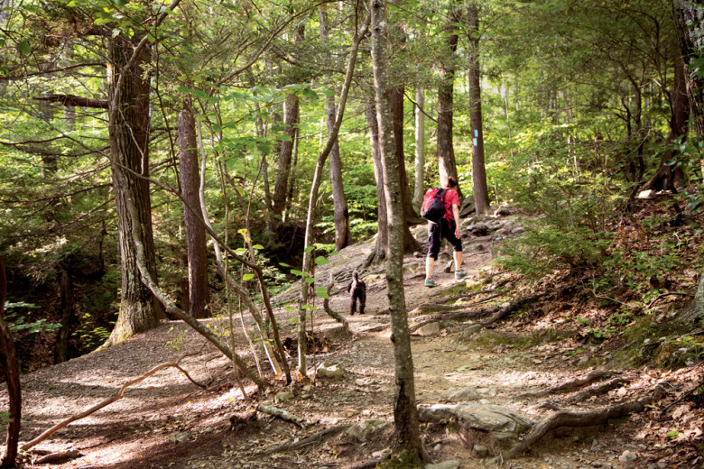 On the Undermountain Trail with her poodle, Talley, Christine Woodside treks toward its intersection with the Appalachian Trail.
