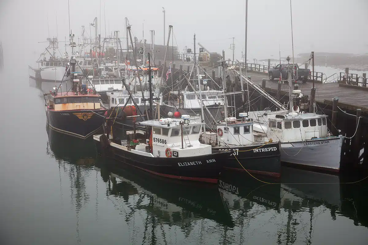 Fish Pier in The Fog