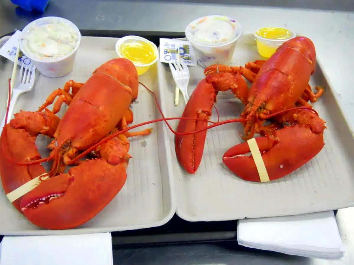 15 Best New England Lobster Shacks