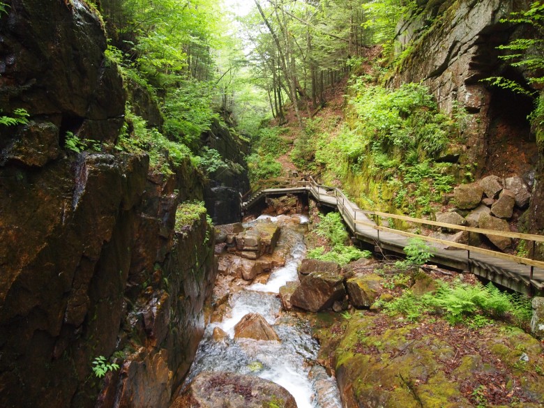The Flume Gorge in Lincoln, NH | Hiking Through History