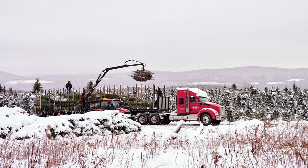 Piles of dirty snow are a Canadian kid's kingdom