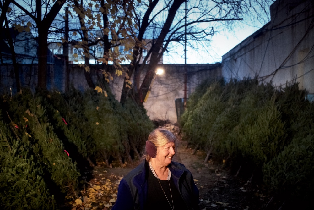 Melody Houle on the Brooklyn lot that’s been hosting her farm’s trees since 2012: “It’s just right. It’s off the street, and the stone on the buildings keeps the trees cold. Keeps them hibernating.”
