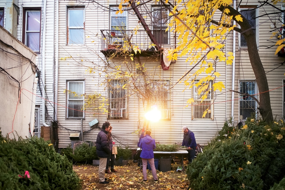 The Houles at work in their little lot off Cortelyou Road, tucked behind storefronts and a block of apartments.