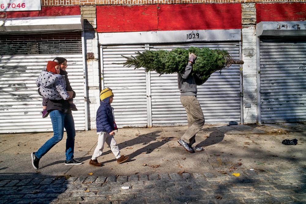 Brooklyn residents Carina and Richard Bierschbach and their kids head for home with their tree in tow, one of many they’ve bought from Houles over the years (they like that the trees are organically grown, they say). 