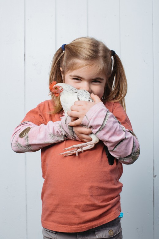 Naomi Eves, 5, of North Berwick, Maine, stands for a portrait with "Regina", her game hen. 