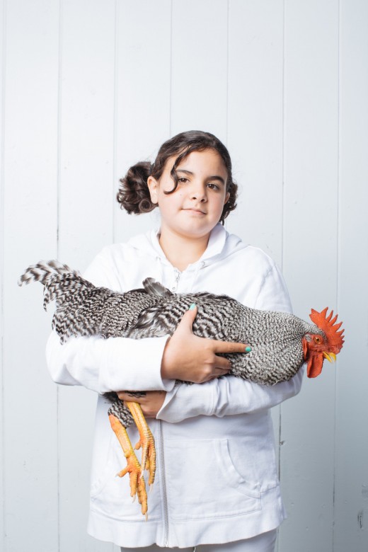 Gabby Mendez, 11, of Kittery, Maine, stands for a portrait with jer rooster, Senor Lewis.