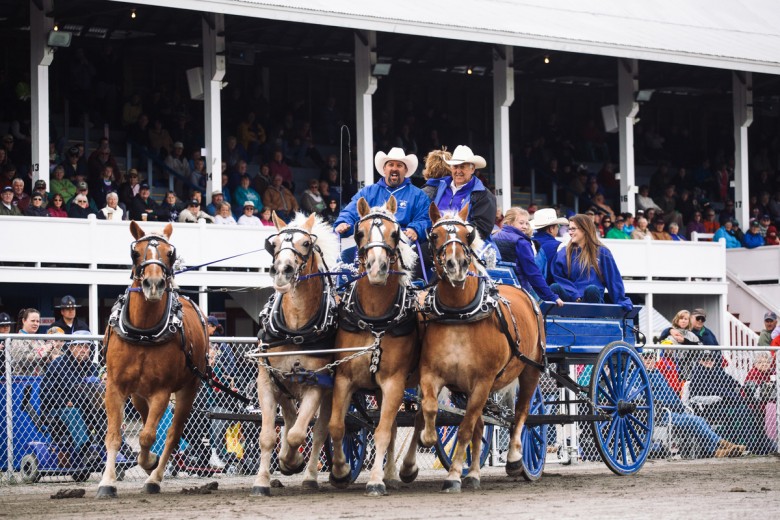 Three generations of the Bean Family (Lance Brian and Brayden) all of Woodstock, Maine, ride through the Grand Parade to accept their award as "Grand Master Teamster" at the Fryeburg Fair in Fryeburg, Maine, on Saturday, Oct. 10, 2015.