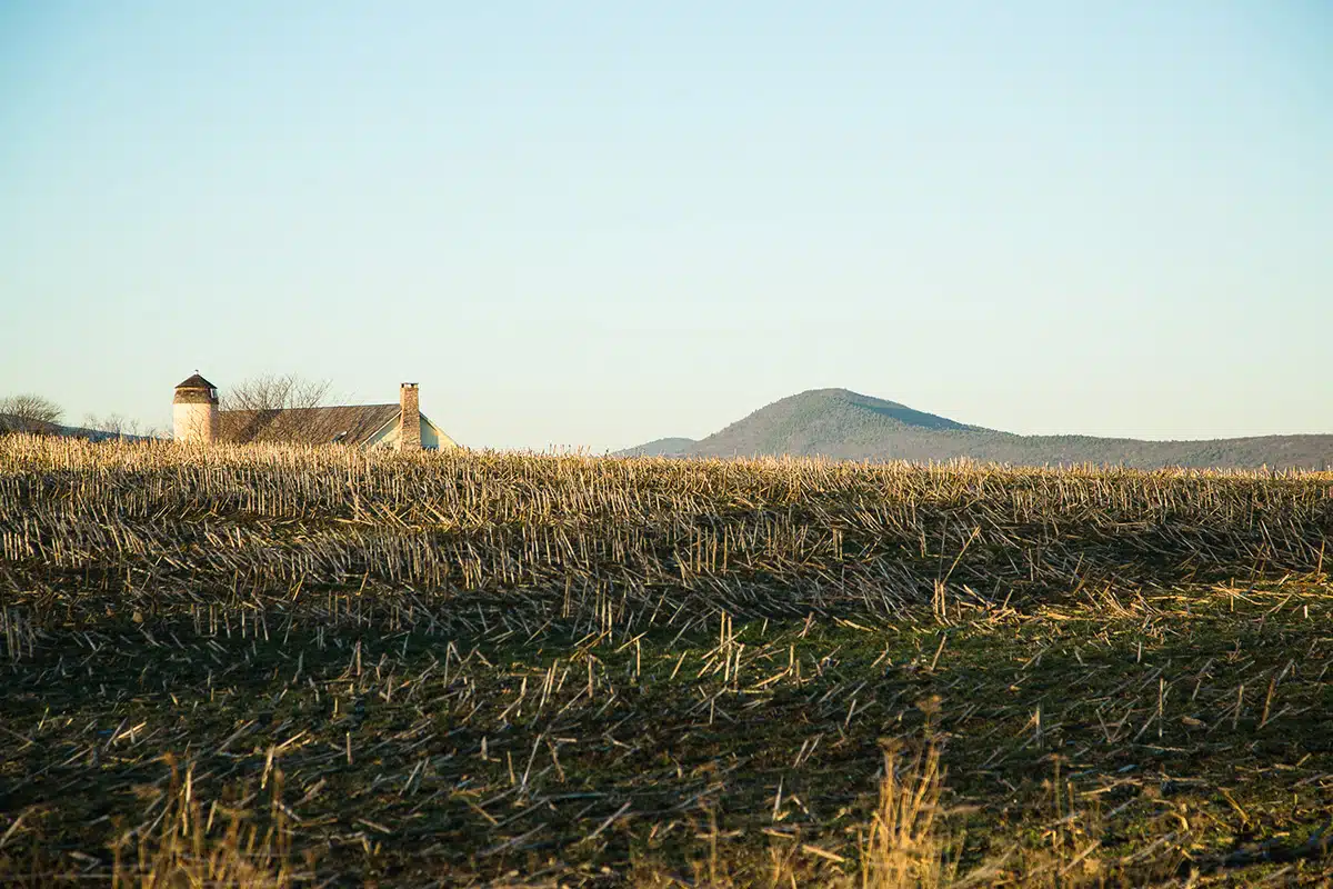 Farmland just outside the outskirts of town.