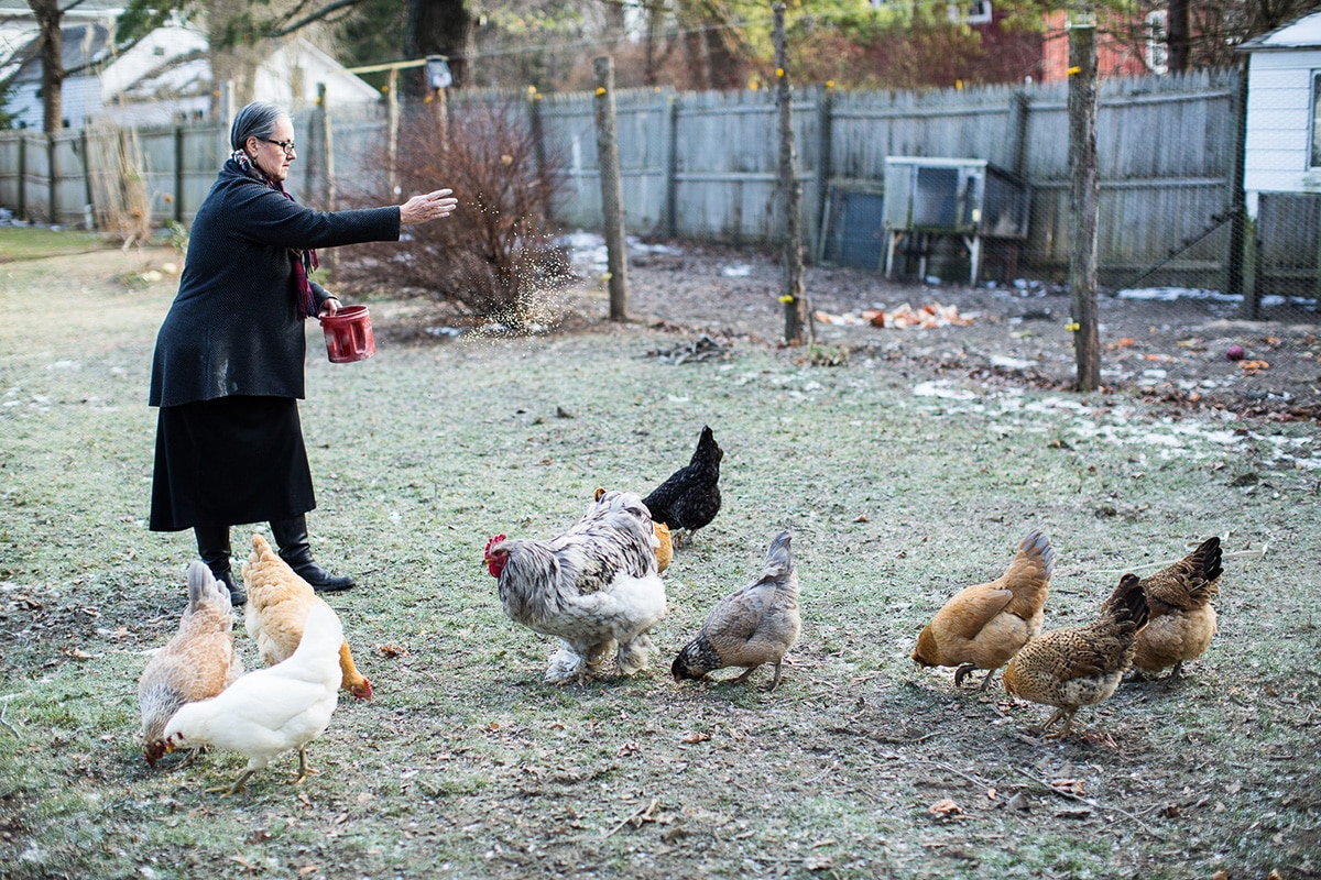 Lynda Fisher feeding her backyard chickens at her Inn at Sweet Water Farm.