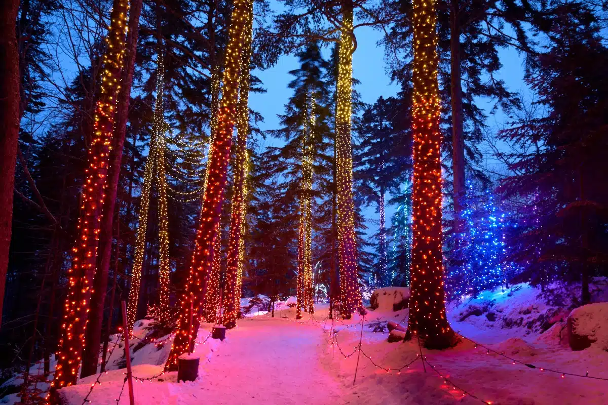 Christmas at the Coastal Maine Botanical Gardens