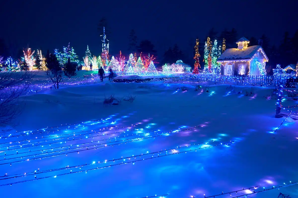 Christmas at the Coastal Maine Botanical Gardens