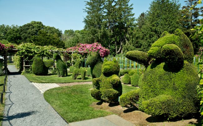 Green Thumb Go-Tos | Best New England Gardens & Nurseries - New England