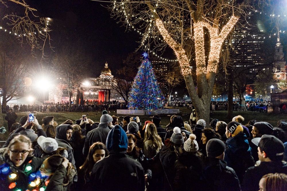 Strung with 6,800 bulbs and topped with a four-foot star, the white spruce donated by Nova Scotia to the city of Boston sparkles during the 2016 lighting celebration on the Common.