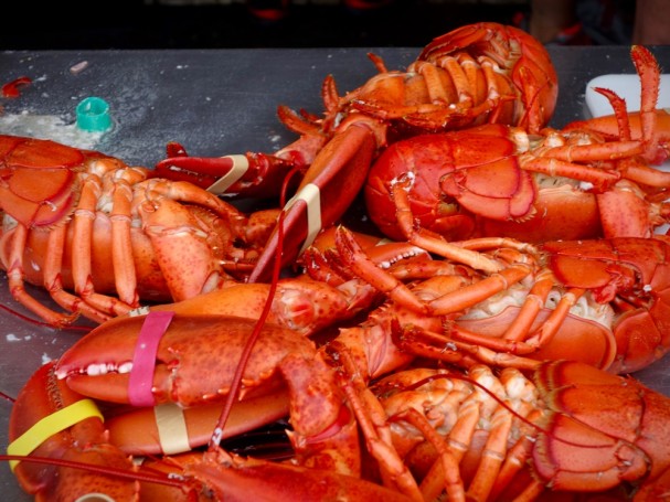 Best Summer Seafood Festivals In New England New England Today