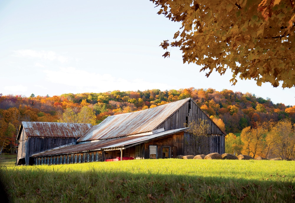 With sections dating from the 1790s, the 1800s, and the 1940s, the Moore-Blanchard barn complex presents a patchwork of farming heritage in Plymouth Notch.