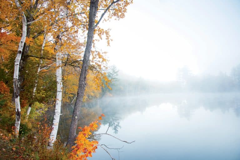 The Hunt for Fall Color: A Decade of <i>Yankee</i> Foliage Photos
