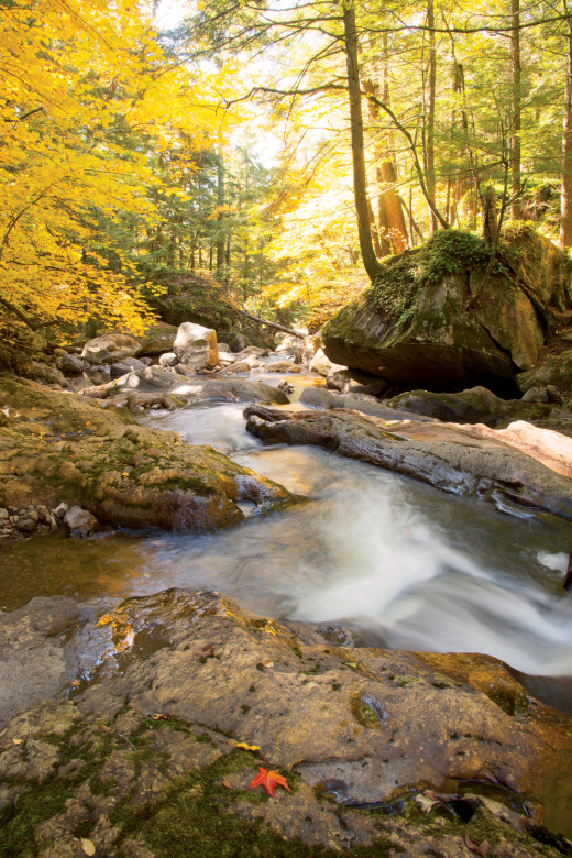 Sucker Brook courses through Green Mountain National Forest, heading for its splashy 100-foot-plus descent through the Falls of Lana.