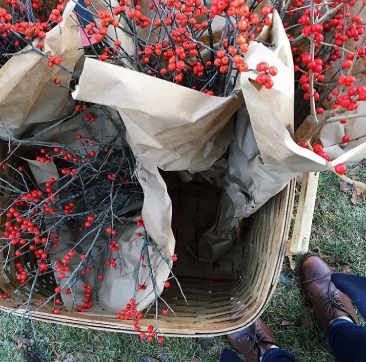 A basket of beautiful winter berries. 